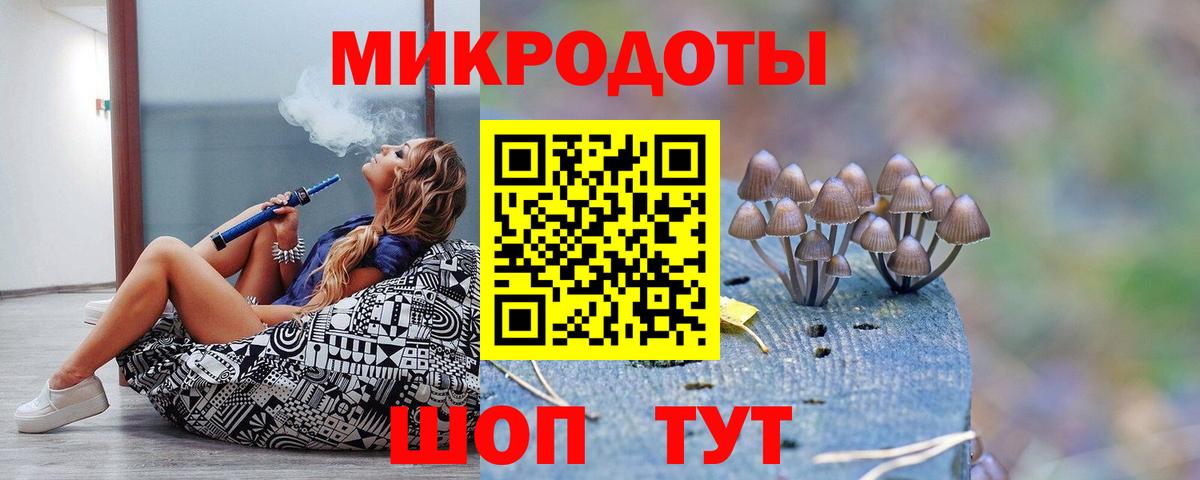 Псилоцибиновые грибы Cubensis Будённовск
