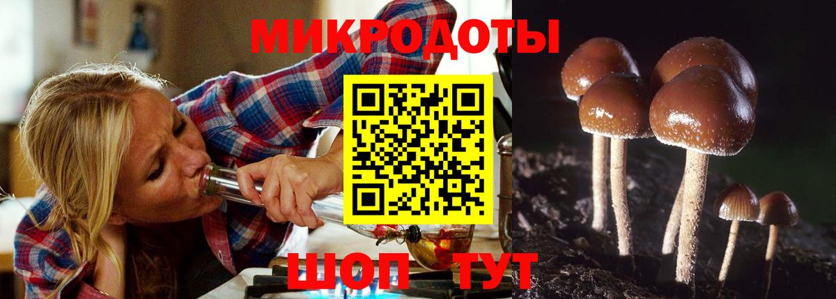 Будённовск  Псилоцибиновые грибы GOLDEN TEACHER  Вход с VPN 